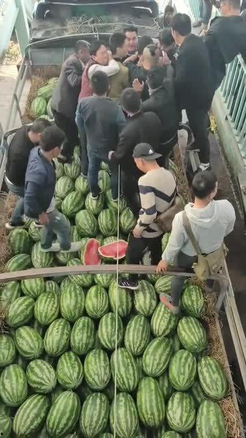 缅甸新瓜最新爆料,揭秘背后惊人真相